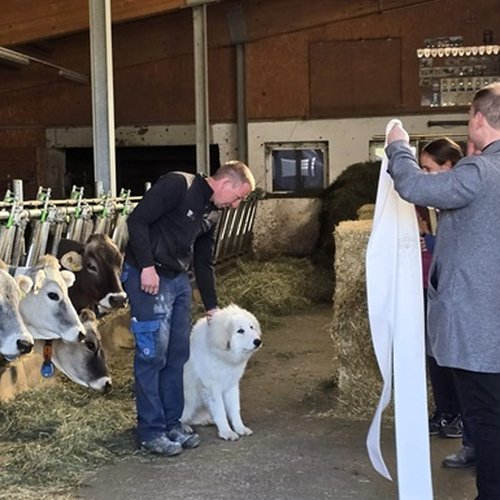 Stallsegnung 1 Klein