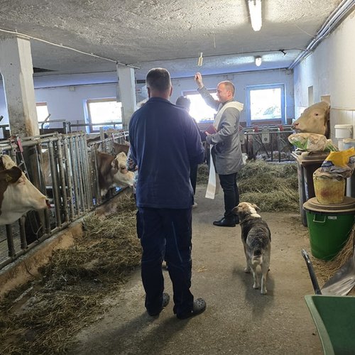 Stallsegnung 2 Klein