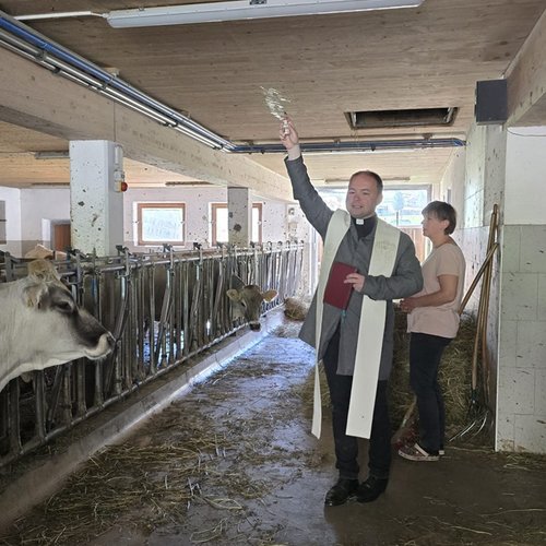 Stallsegnung 4 Klein