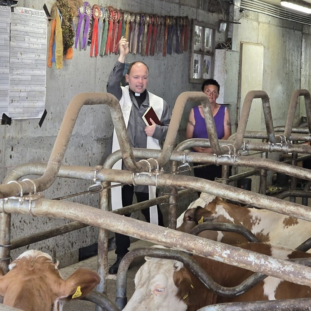 Stallsegnung 5 Klein