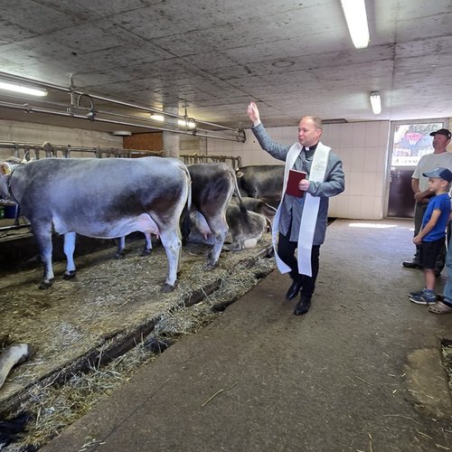 Stallsegnung 7 Klein